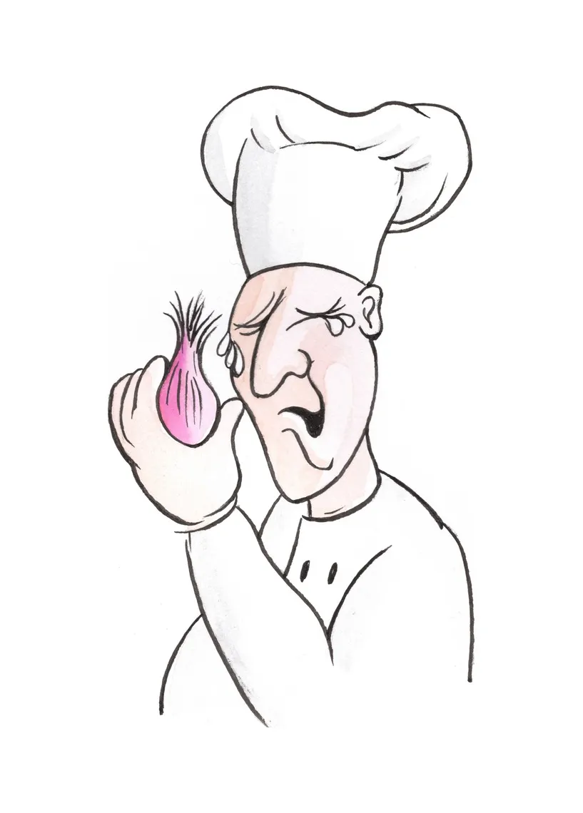 Back cover illustration — the same chef crying from the onion