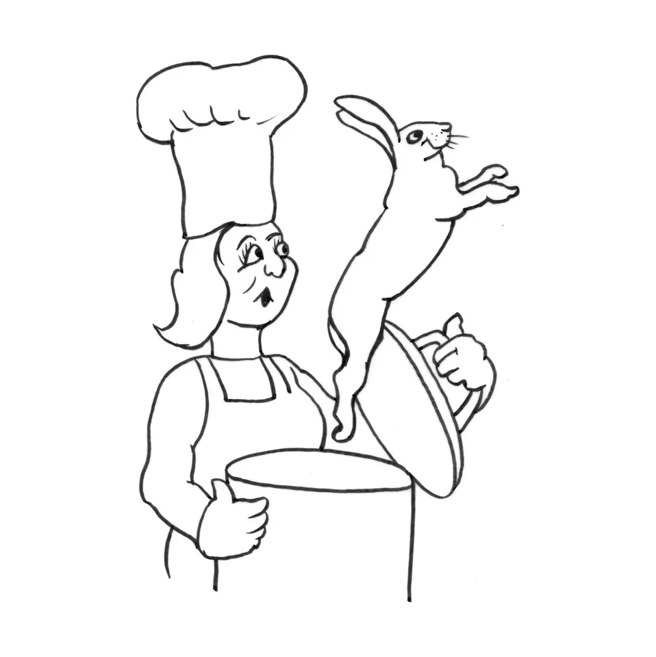 Illustration for Poultry & Game chapter